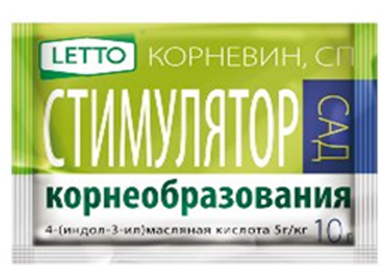 А-5072 Корневин ЛЕТТО 10г (150)