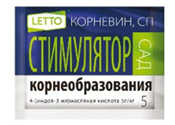А-5073 Корневин ЛЕТТО 5г (150)
